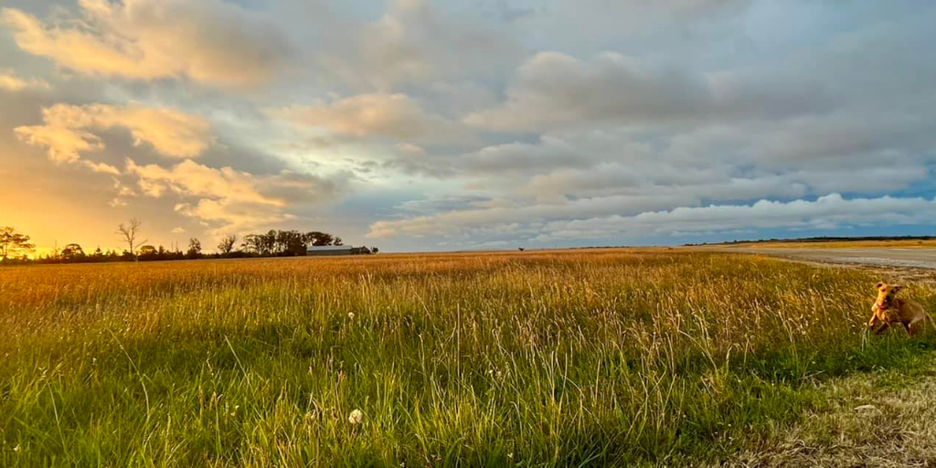 Grahamstown Airfield Runway